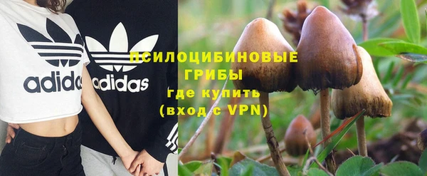 гидропоника Арсеньев